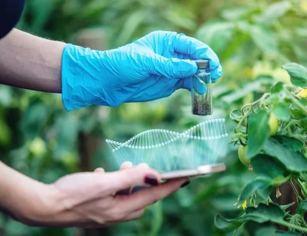 नीति आयोग का AgriBio 2.0 मिशनः CRISPR तकनीक से जलवायु अनुकूल फसलें और जैविक इनपुट विकसित करने का लक्ष्य