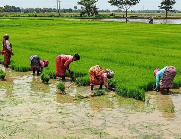 जुलाई के दूसरे हफ्ते राज्यवार बारिश 99 प्रतिशत तक कम, लेकिन अगले 5 दिन अधिकतर राज्यों में वर्षा का अनुमान
