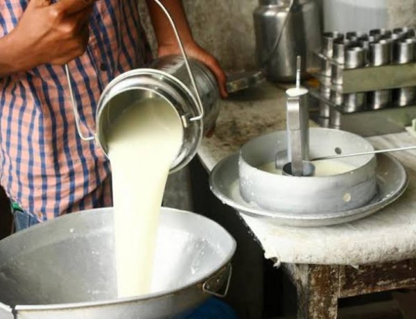 दूध और दुग्ध उत्पादों के 14,668 नमूने मानकों पर खरे नहीं उतरे, सरकार ने संसद में रखे आंकड़े