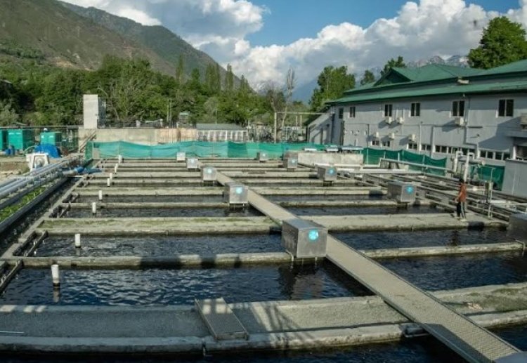खैबर ग्रुप ने कश्मीर में भारत की सबसे बड़ी RAS आधारित हिमालयन ट्राउट मछली पालन इकाई शुरू की