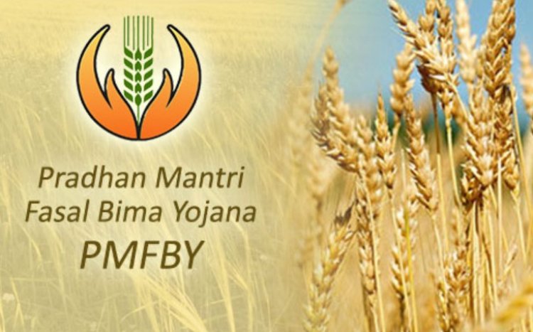 बीमा कंपनियों को फसल बीमा से हर साल हो रही 10 हजार करोड़ रुपये से अधिक की कमाई