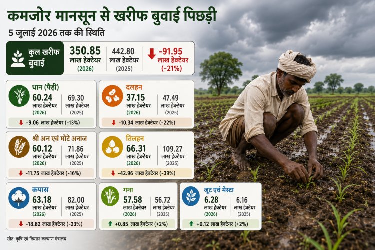 कमजोर मानसून से खरीफ बुवाई 21% पिछड़ी, धान का रकबा 13% कम, तिलहन बुवाई में बड़ी गिरावट