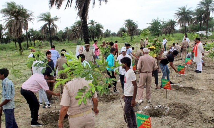 यूपी में 12 जुलाई को ‘पौधरोपण महायज्ञ 2026’ के लिए वन विभाग की तैयारी पूरी, 2600 से अधिक नर्सरियों में 57.62 करोड़ पौधे तैयार
