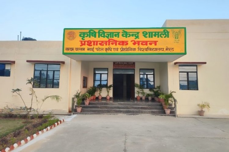 प्रयोगशाला से खेत तक की अधूरी यात्रा: क्यों पूरी क्षमता से काम नहीं कर पा रहे कृषि विज्ञान केंद्र?