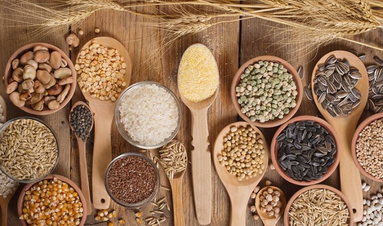 USDA ने घटाया वैश्विक अनाज उत्पादन अनुमान, भारत का गेहूं उत्पादन 12.10 करोड़ टन और चावल 15 करोड़ टन पर बरकरार