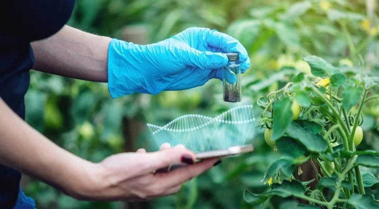 नीति आयोग का AgriBio 2.0 मिशनः CRISPR तकनीक से जलवायु अनुकूल फसलें और जैविक इनपुट विकसित करने का लक्ष्य