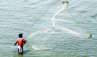 हिमाचल प्रदेश में मछुआरों को नाव पर 70% सब्सिडी, मछली पकड़ने के जाल पर 90% सहायता