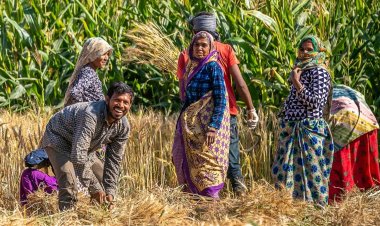 मानसून और खाद्य कीमतों के जोखिम के बीच ग्रामीण क्षेत्र की मांग मजबूत, FY27 में तेज गिरावट की आशंका कम: UBS