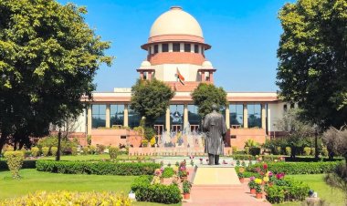 पेप्सिको-आलू किसान मामले में सुप्रीम कोर्ट का फैसला निराशाजनक: किसान अधिकार कार्यकर्ता कविता कुरुगंती