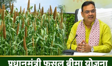राजस्थान में खरीफ 2026 से फसल बीमा पॉलिसी का जांच के बाद ही होगा अनुमोदन, राज्य सरकार ने जारी किए नए दिशानिर्देश