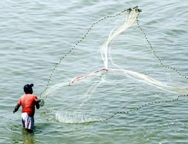 हिमाचल प्रदेश में मछुआरों को नाव पर 70% सब्सिडी, मछली पकड़ने के जाल पर 90% सहायता