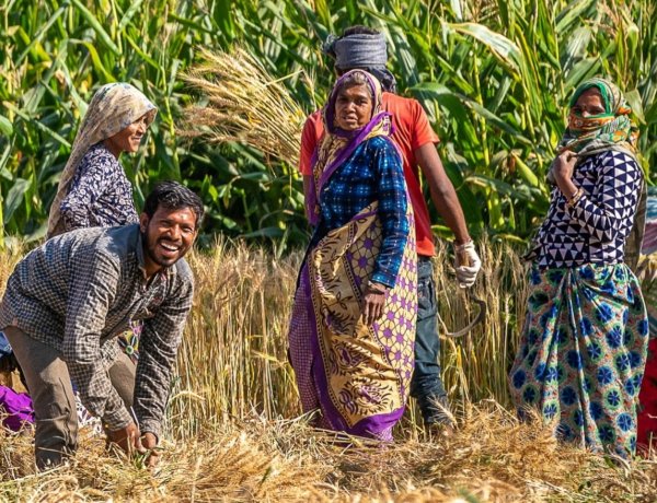 मानसून और खाद्य कीमतों के जोखिम के बीच ग्रामीण क्षेत्र की मांग मजबूत, FY27 में तेज गिरावट की आशंका कम: UBS