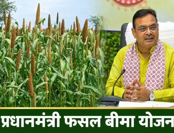 राजस्थान में खरीफ 2026 से फसल बीमा पॉलिसी का जांच के बाद ही होगा अनुमोदन, राज्य सरकार ने जारी किए नए दिशानिर्देश