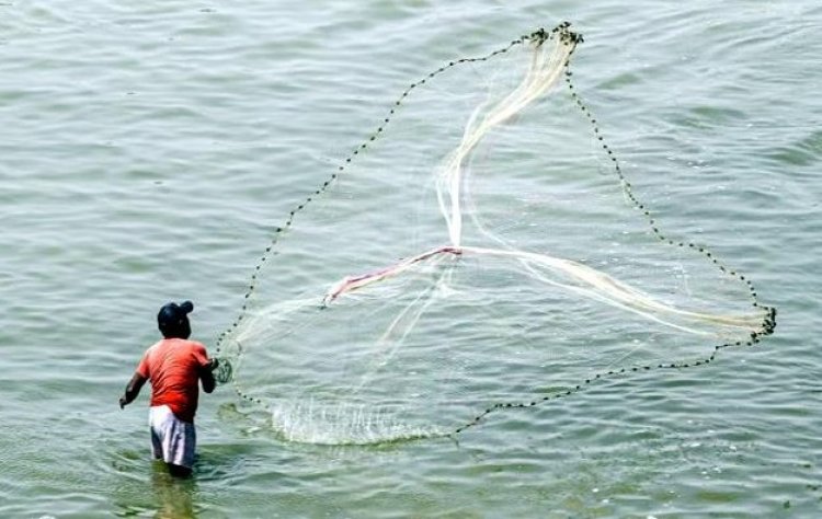 हिमाचल प्रदेश में मछुआरों को नाव पर 70% सब्सिडी, मछली पकड़ने के जाल पर 90% सहायता