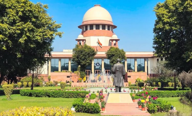 पेप्सिको-आलू किसान मामले में सुप्रीम कोर्ट का फैसला निराशाजनक: किसान अधिकार कार्यकर्ता कविता कुरुगंती