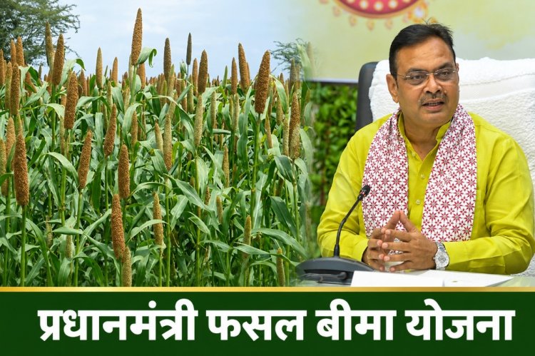 राजस्थान में खरीफ 2026 से फसल बीमा पॉलिसी का जांच के बाद ही होगा अनुमोदन, राज्य सरकार ने जारी किए नए दिशानिर्देश