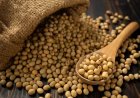 इस वर्ष भारत का सोया ऑयल उत्पादन घटकर 16 लाख टन रहने का अनुमानः USDA रिपोर्ट
