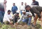 पेप्सिको ने भारत में पानी, खेती और पैकेजिंग के क्षेत्र में पर्यावरण लक्ष्यों पर फोकस बढ़ाया