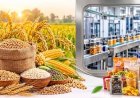 उत्तर प्रदेश अंतरराष्ट्रीय ट्रेड शो 2026 25 सितंबर से, कृषि इकोसिस्टम में एफपीओ और कृषि टेक्नोलॉजी का होगा प्रदर्शन