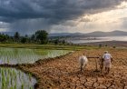 13 फीसदी कम बारिश के साथ खत्म हुआ 2026 का मानसून, एक दशक में सबसे कम बारिश, कई राज्यों में सूखे की स्थिति