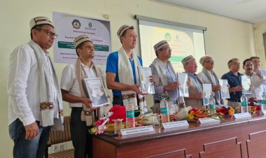 धान की सीधी बुवाई से उत्सर्जन में कमी, पानी की बचत और कार्बन क्रेडिट की संभावना, हिमाचल कृषि विश्वविद्यालय की स्टडी