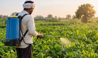 क्रॉपलाइफ इंडिया ने नए उत्पादों के लिए मांगी 5 साल की डेटा सुरक्षा, किसानों के लिए विकल्प बढ़ाने पर जोर