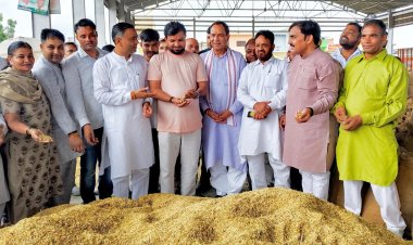 हरियाणा में धान की सरकारी खरीद दो दिन पहले शुरू, केंद्र ने दी मंजूरी