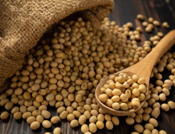इस वर्ष भारत का सोया ऑयल उत्पादन घटकर 16 लाख टन रहने का अनुमानः USDA रिपोर्ट