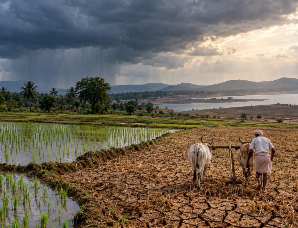 13 फीसदी कम बारिश के साथ खत्म हुआ 2026 का मानसून, एक दशक में सबसे कम बारिश, कई राज्यों में सूखे की स्थिति