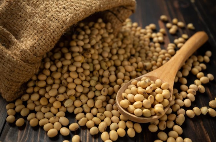 इस वर्ष भारत का सोया ऑयल उत्पादन घटकर 16 लाख टन रहने का अनुमानः USDA रिपोर्ट