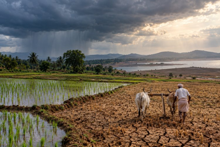 13 फीसदी कम बारिश के साथ खत्म हुआ 2026 का मानसून, एक दशक में सबसे कम बारिश, कई राज्यों में सूखे की स्थिति
