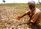 महाराष्ट्र के 265 तालुका में सूखा आकलन के लिए केंद्रीय दल गठित, किसानों के लिए राहत उपायों की सिफारिश भी करेगा