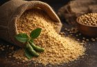 जुलाई में भारत का ऑयल मील निर्यात 65 प्रतिशत गिरा, सोयामील निर्यात में 90% गिरावट