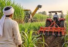 हरियाणा: गन्ना किसानों को कृषि यंत्रों पर मिलेगा अनुदान, 31 अक्टूबर तक करें ऑनलाइन आवेदन