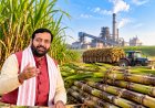 हरियाणा में गन्ना भाव 15 रुपये बढ़ाकर 430 रुपये प्रति क्विंटल घोषित, अगले साल मिलेगा 450 रुपये का रेट