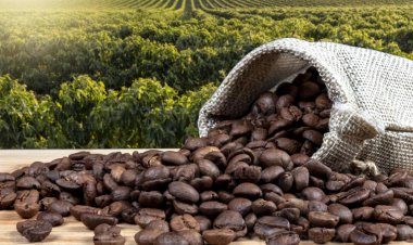 विंग्स्योर ने कॉफी सेक्टर के लिए कृषि डेटा को इंटेलिजेंस में बदलने वाला COFFEA प्लेटफॉर्म लॉन्च किया