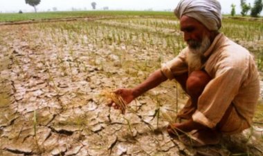 महाराष्ट्र के 265 तालुका में सूखा आकलन के लिए केंद्रीय दल गठित, किसानों के लिए राहत उपायों की सिफारिश भी करेगा