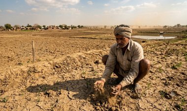 कम बारिश से मध्य प्रदेश में गेहूं की बुवाई में देरी, चना और सरसों के भी प्रभावित होने की आशंका