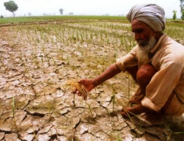 महाराष्ट्र के 265 तालुका में सूखा आकलन के लिए केंद्रीय दल गठित, किसानों के लिए राहत उपायों की सिफारिश भी करेगा