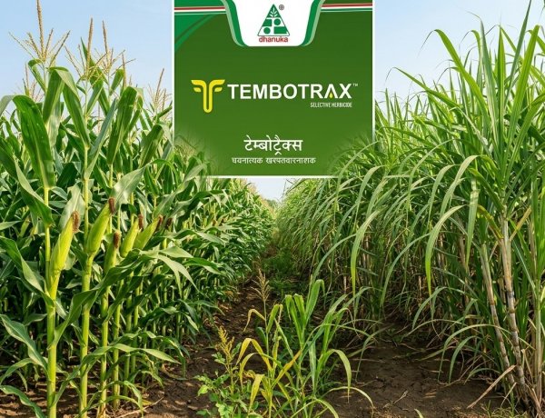 धानुका एग्रीटेक ने मक्का और गन्ने के लिए नया खरपतवारनाशक टेम्बोट्रैक्स लॉन्च किया