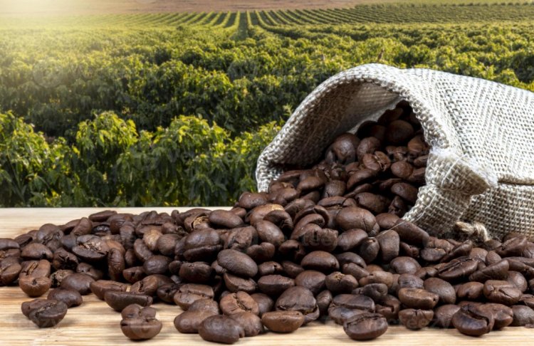 विंग्स्योर ने कॉफी सेक्टर के लिए कृषि डेटा को इंटेलिजेंस में बदलने वाला COFFEA प्लेटफॉर्म लॉन्च किया