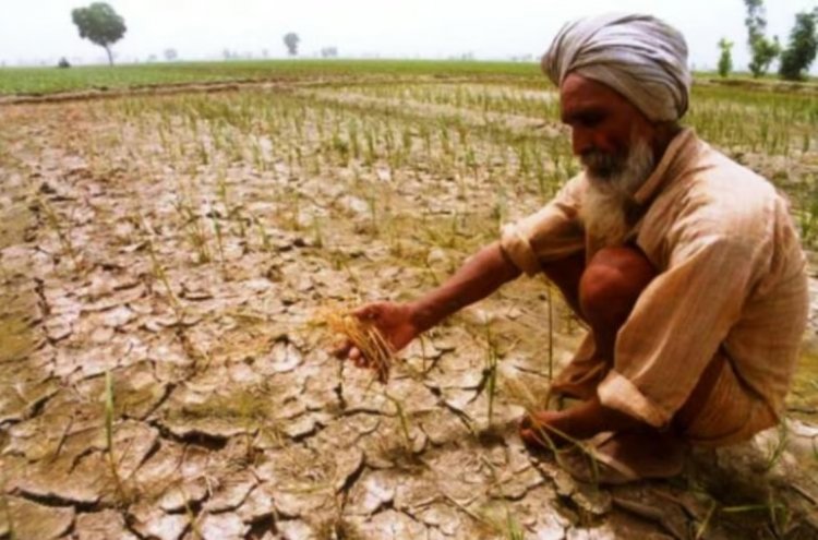 महाराष्ट्र के 265 तालुका में सूखा आकलन के लिए केंद्रीय दल गठित, किसानों के लिए राहत उपायों की सिफारिश भी करेगा