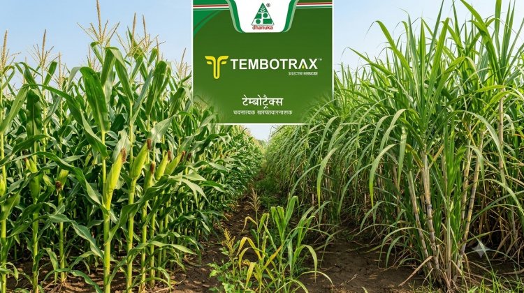धानुका एग्रीटेक ने मक्का और गन्ने के लिए नया खरपतवारनाशक टेम्बोट्रैक्स लॉन्च किया