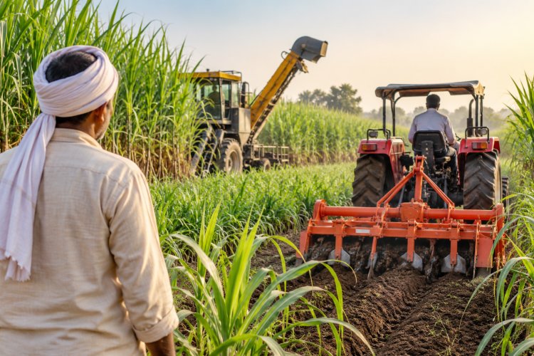 हरियाणा: गन्ना किसानों को कृषि यंत्रों पर मिलेगा अनुदान, 31 अक्टूबर तक करें ऑनलाइन आवेदन